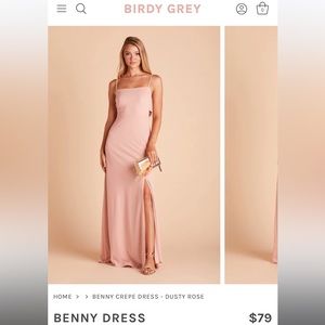 Birdy Grey bridesmaid dress - style: Benny (Crepe), in color dusty rose
